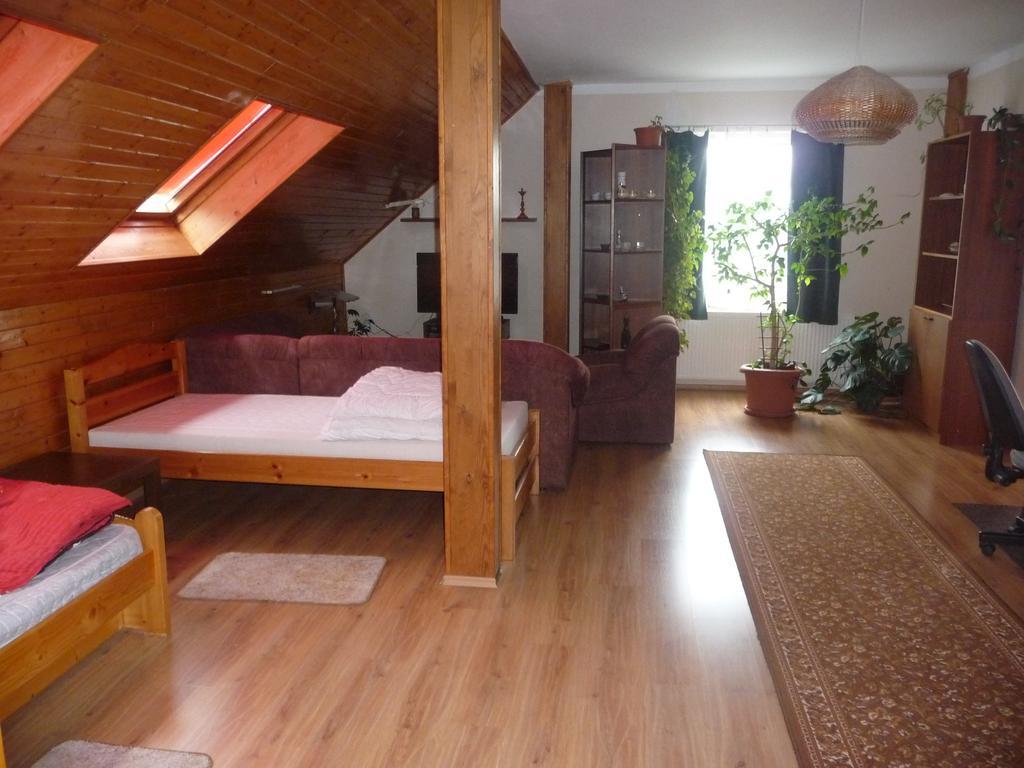 Apartment Rychtrovna Гейнице Экстерьер фото